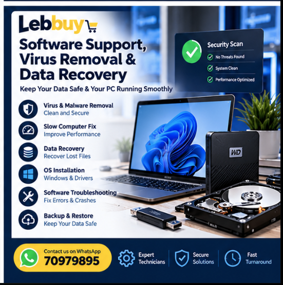 Lebbuy software support, virus removal, and data recovery service