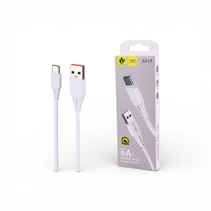 SASATHREE S01T USB-C Fast Charging Cable 6A (Charge & Sync)