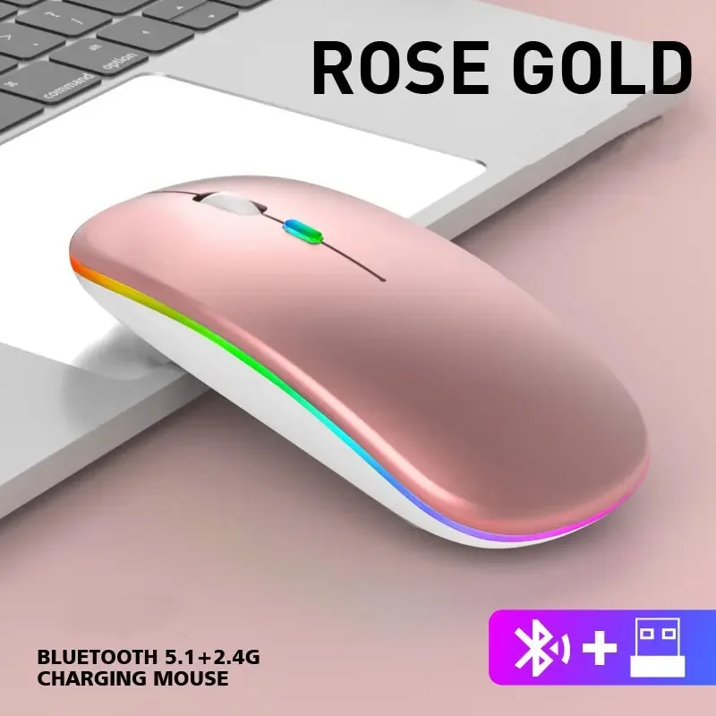 HP W10 RGB Rechargeable Type-C Dual-Mode Bluetooth & 2.4GHz Wireless Slim Mouse