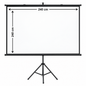 INVO Tripod Projector Screen 240 × 240 cm – Matte White