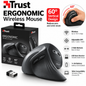 Trust 23507 Ergonomic Wireless Vertical Mouse – 60° Design, 600/1200/1600 DPI, USB Receiver, Black